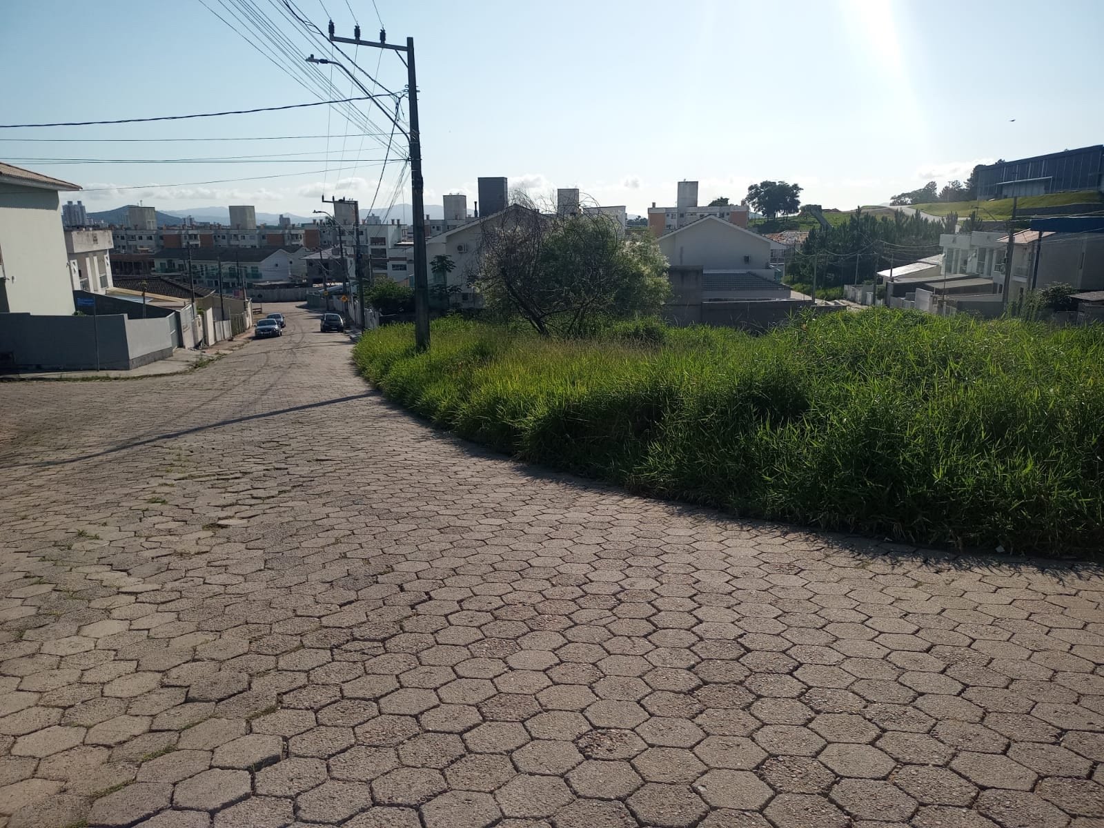Bela Vista - Terrenos para Incorporação - Terreno - vista da Rua Otolívio Antônio Henrique